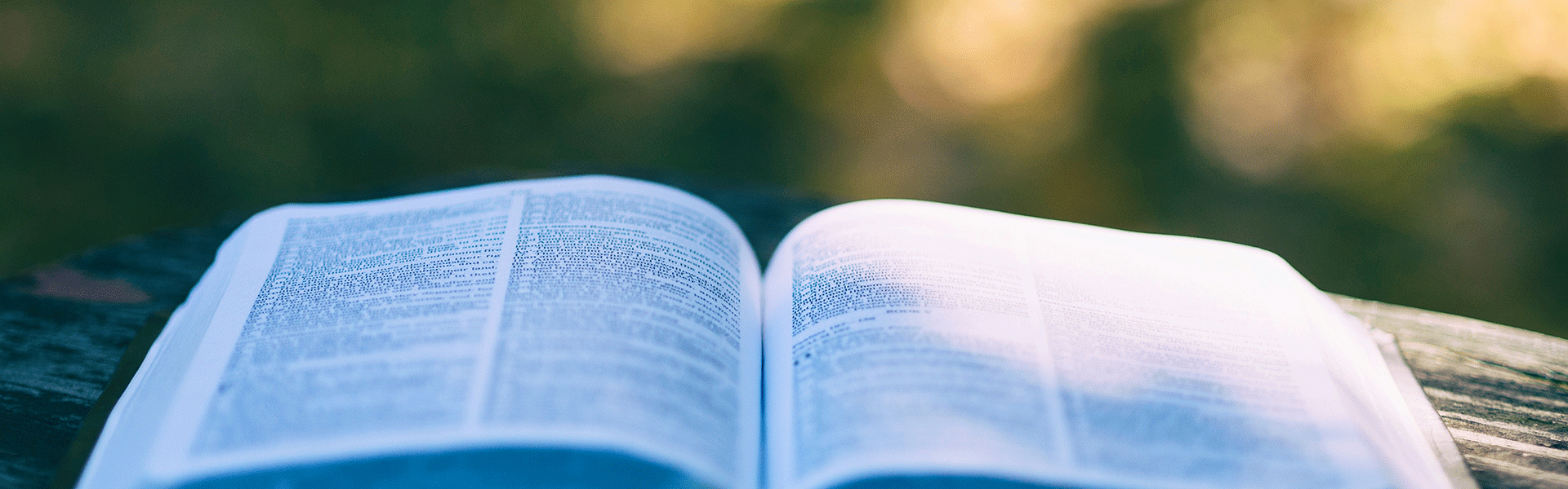 Consolidation & Improvement