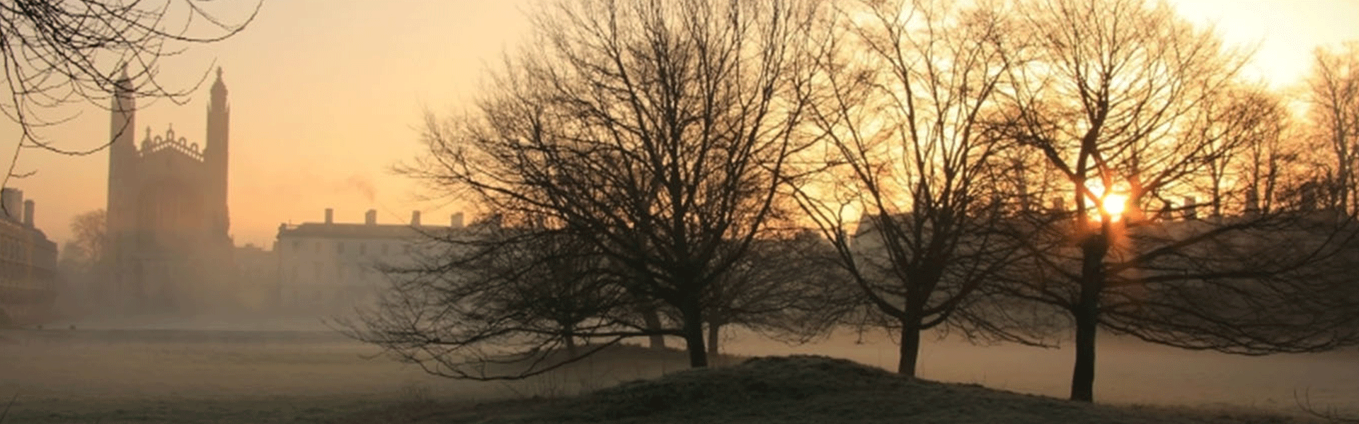 Start Thinking Like an Undergraduate