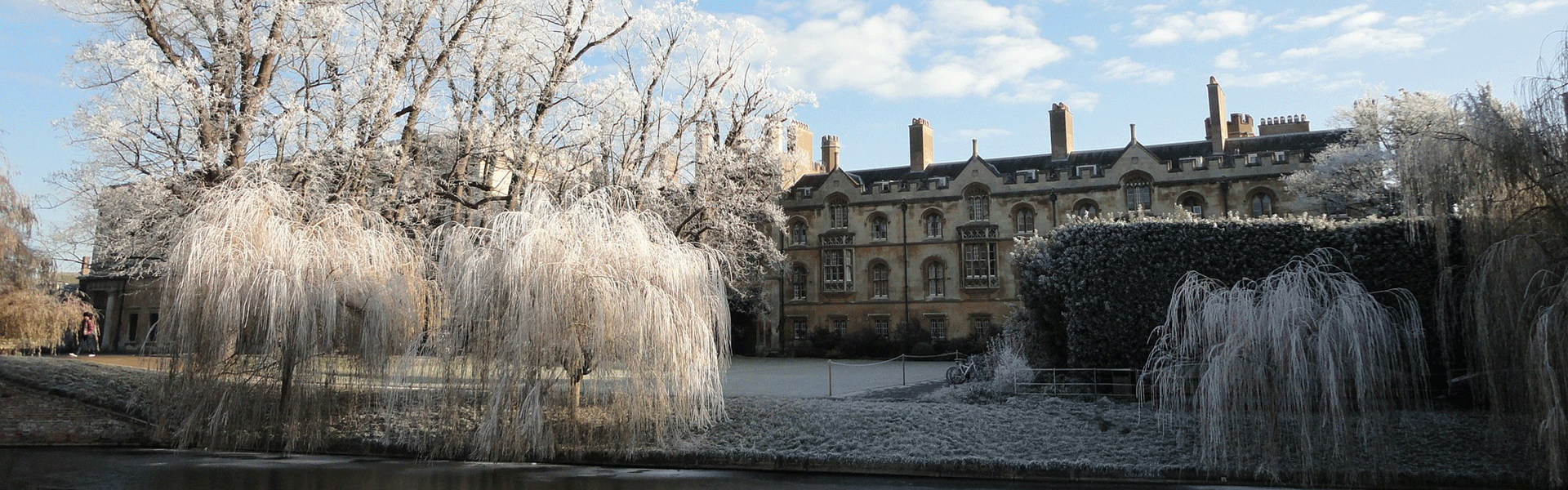 Assistance Entering British Education